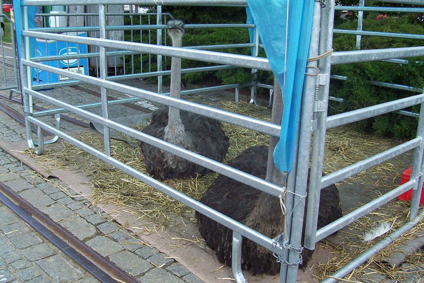 100_1604.jpg